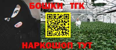 стаф Сланцы