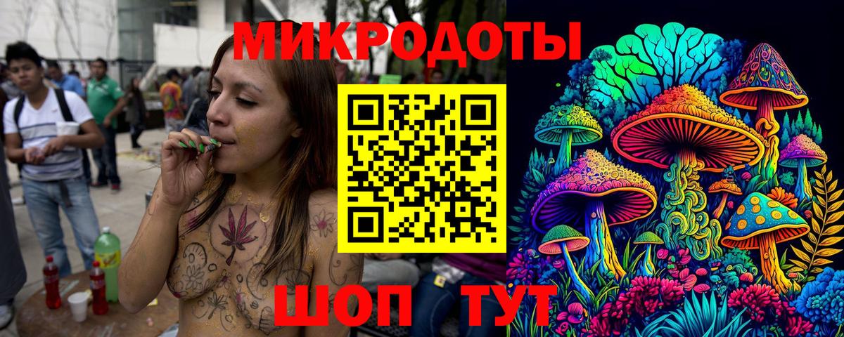 Галлюциногенные грибы Psilocybine cubensis Новороссийск