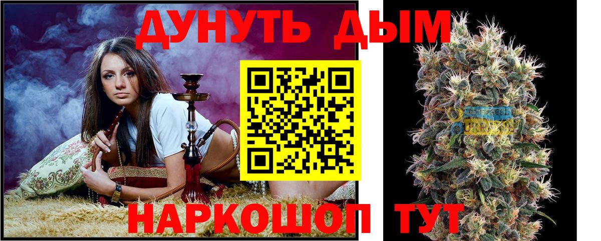 Конопля ГИДРОПОН  Канабис план  Новороссийск  Вход с VPN 